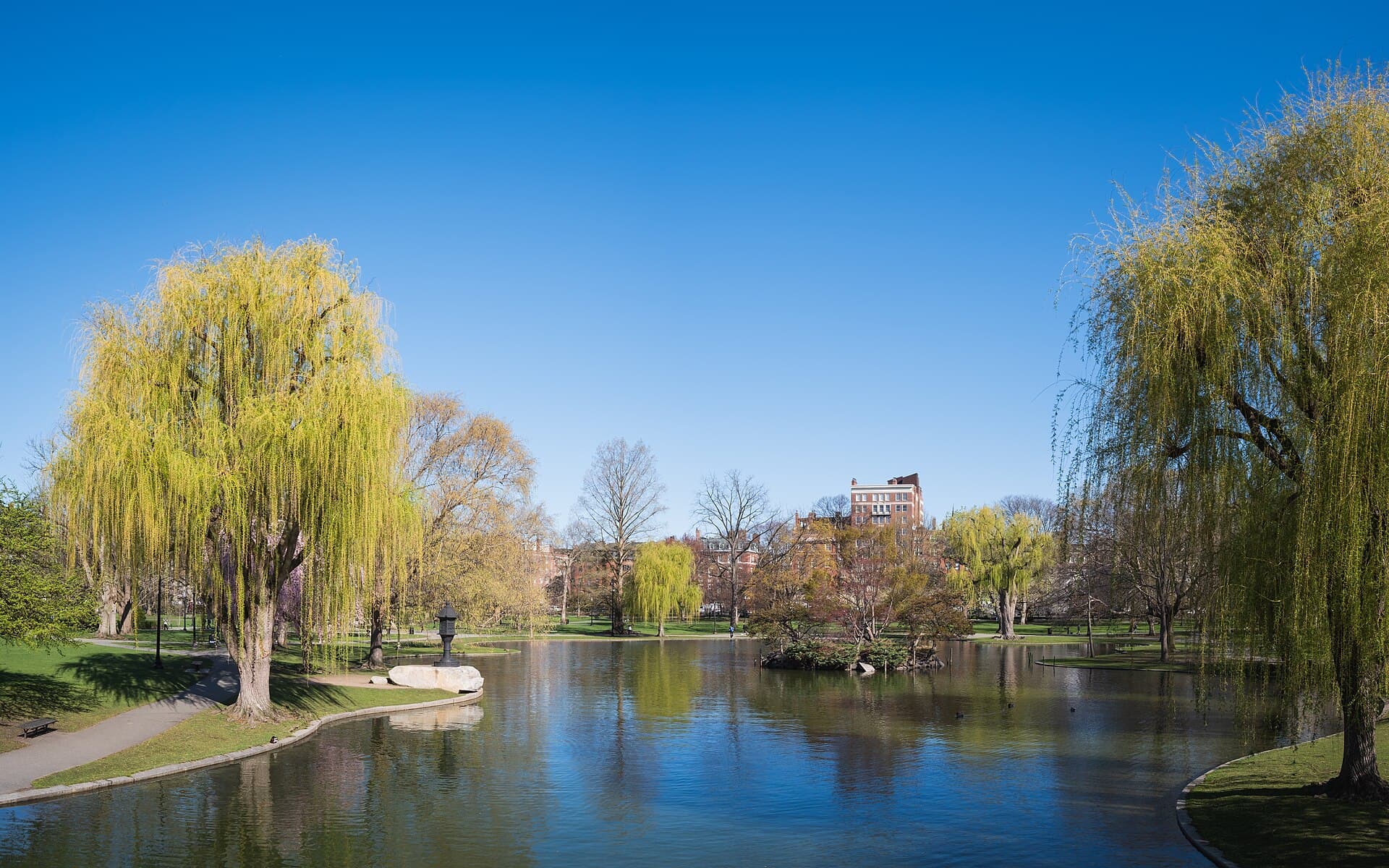 Boston Public Garden lagoon with the Back Bay skyline behind it